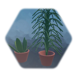 House Plants