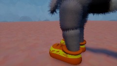 Raccy Raccon
