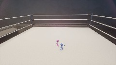 Wrestling Bash Ring