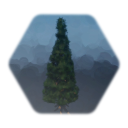 Pine tree