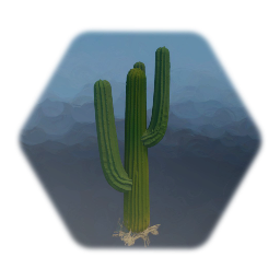 Cactus