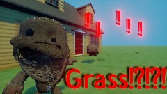 Sackboi    t0uches  grass!!!!!!!(REAL LIFE EDITION!!!!1!!!)
