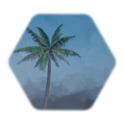 Coconut Palm Tree