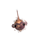 cheese_graters