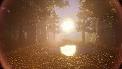 Ultra Realistic Forest