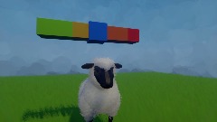 Sheep