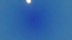 A screenshot taken in Dreams. 2 of 3.