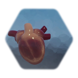 New Heart