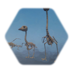 bird skeleton