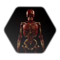 Gored flayed skeleton body