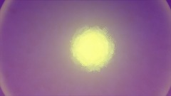 Overtale - Amalgam...?