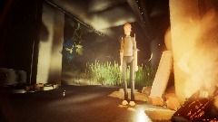 Explorer Mode