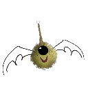 jacdamen
