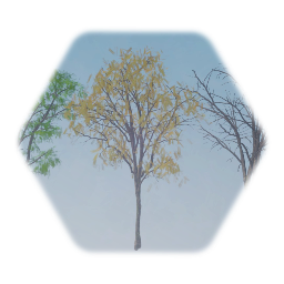 Honey Locust Detroit