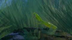 A screenshot taken in Dreams. 26 of 28.