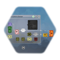 Invert Camera Sensor