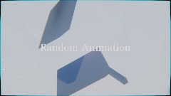 Random Animation