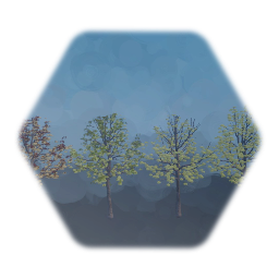 Spring Maples