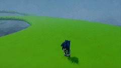 Sonic Running Test