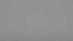 Happy Birthday Dtoliet!