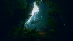 A screenshot taken in Dreams. 4 of 30.