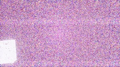 The best way to drive you insane