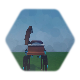 Coffin