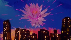 Lotus nights