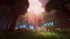 Just a Night in the Forest