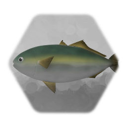 ハマチくんの素体 (ブリ)