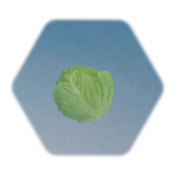 Head of Lettuce