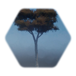 Small Birch v1 Autumn