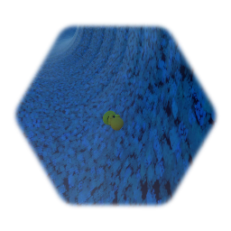 Coler slide with song