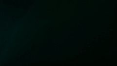 Pandora´s Nightmare