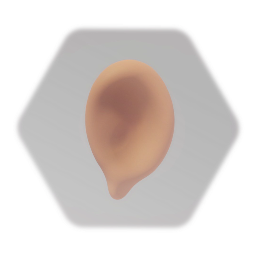 Ear