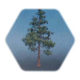 Mondell Pine