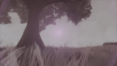 First-Person Vision Development