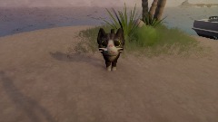 My Creation - 7/8/2022