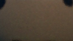 I do nothing for 10 seconds