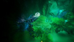 The Mermaid And The Diver