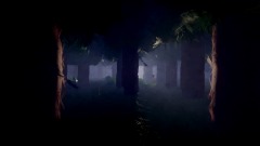 Forest Scene