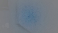 Crow's Nest Isle Ending