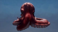 Cephalopod