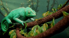 Camille the chameleon
