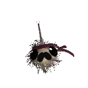 MR_Pedro_guy
