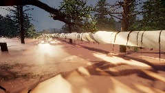 The friendly Long horse