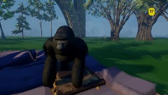 Gorilla adventure