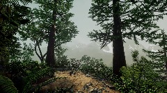 Hike Forest Extended