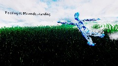 Feeling of Misunderstanding