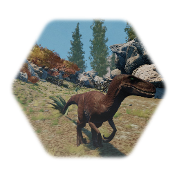 Remix of Desert pass